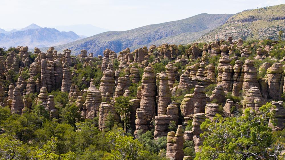 Voyage en Arizona : 9 incontournables à faire lors d'un road trip dans l'Ouest américain