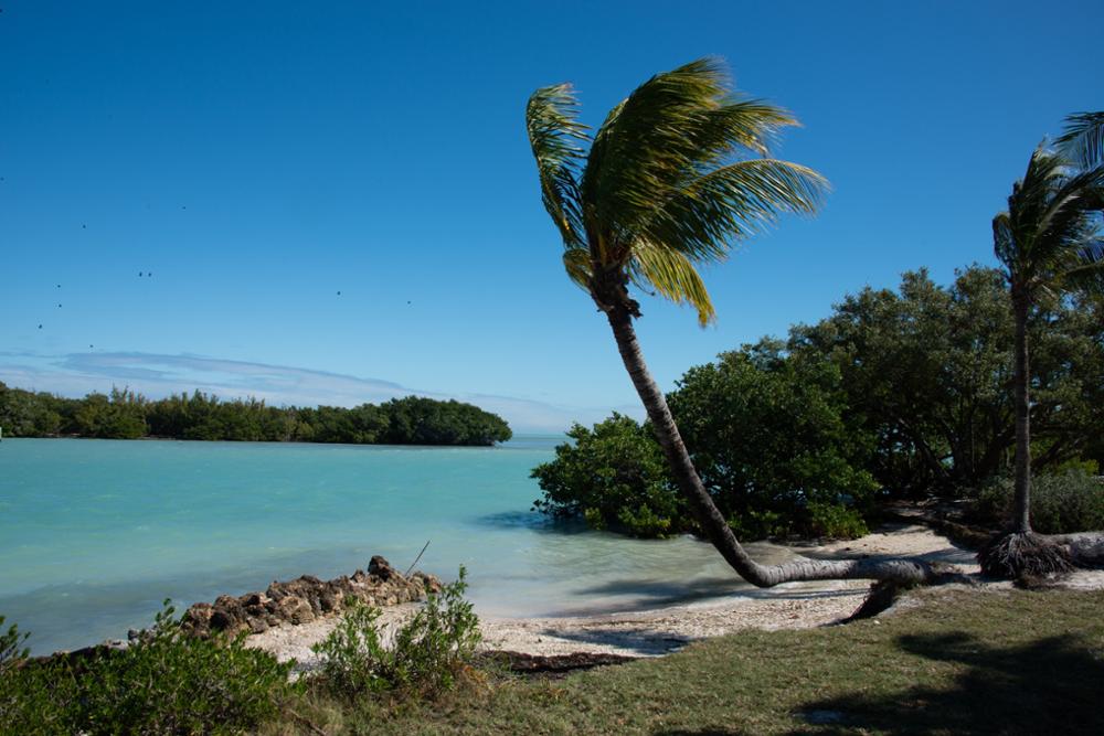 Que faire à Miami et dans les alentours ? 