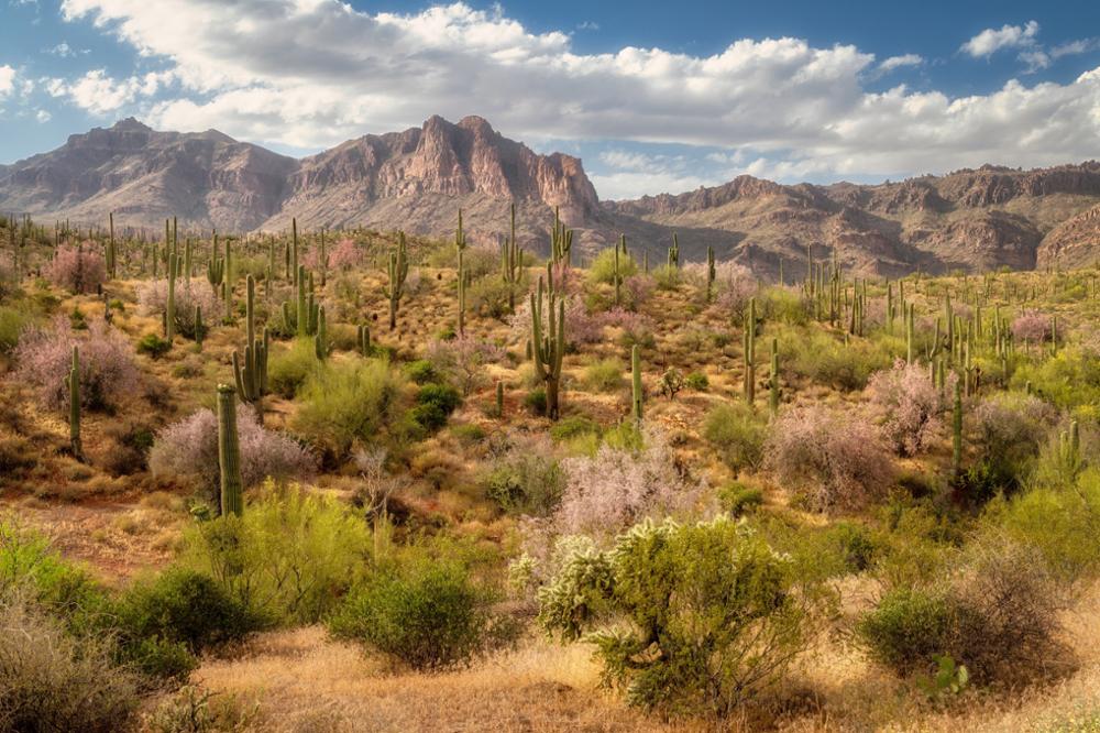 Voyage en Arizona : 9 incontournables à faire lors d'un road trip dans l'Ouest américain